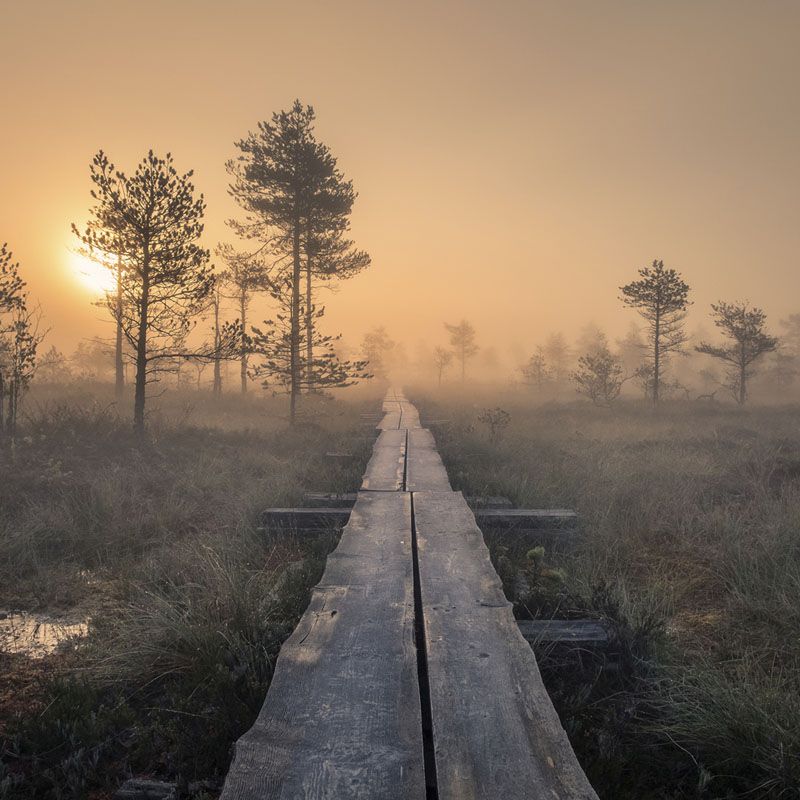 Muutos alkaa tyhjästä tilasta