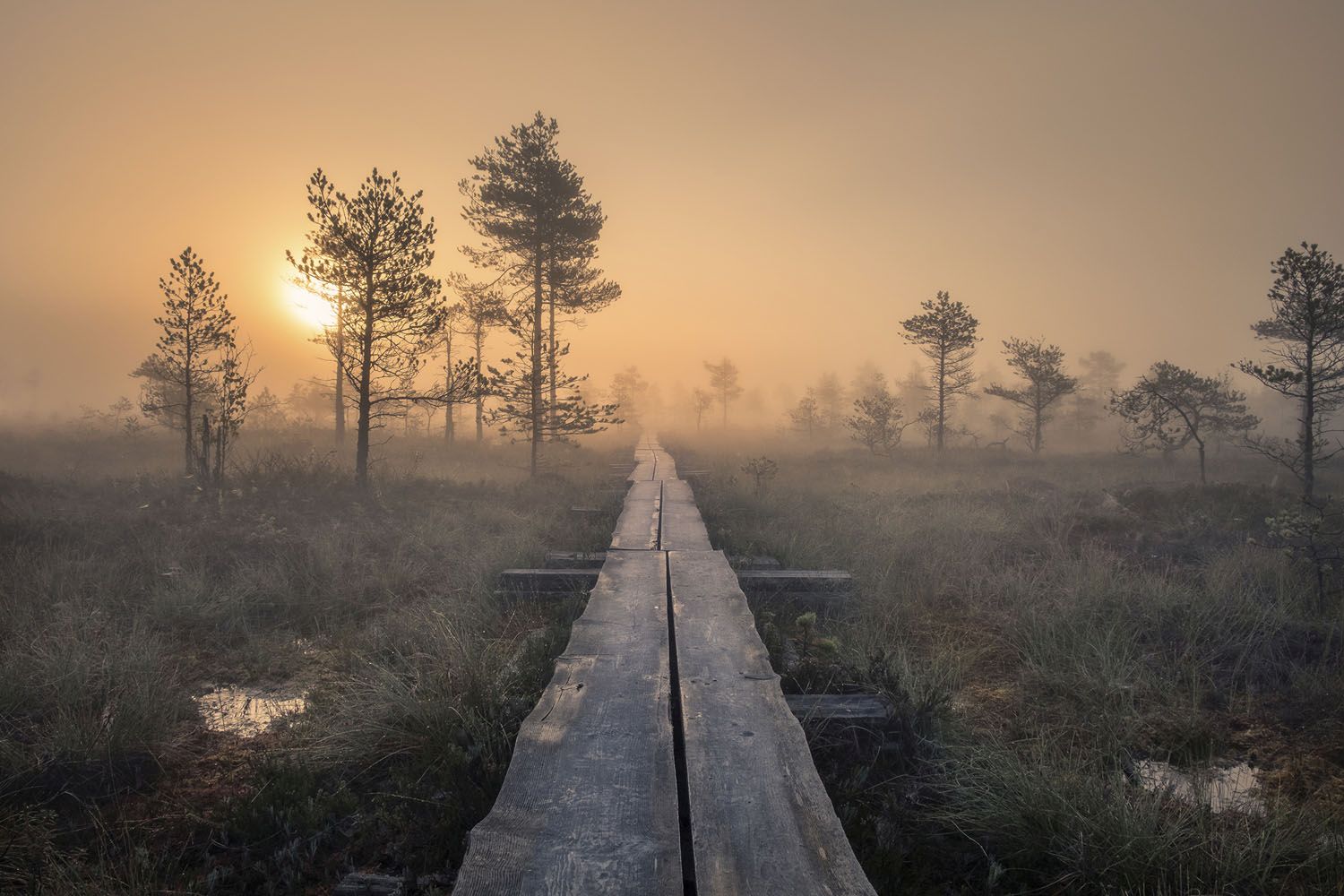 Muutos alkaa tyhjästä tilasta