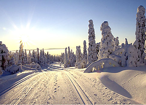 500 lappi